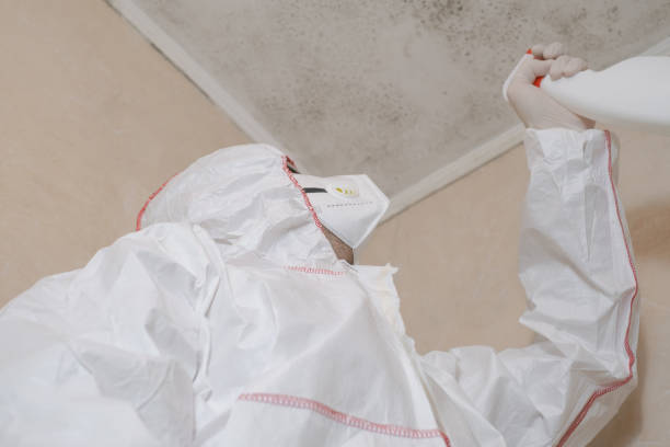 Best Health and Safety Mold Remediation in Walsenburg, CO